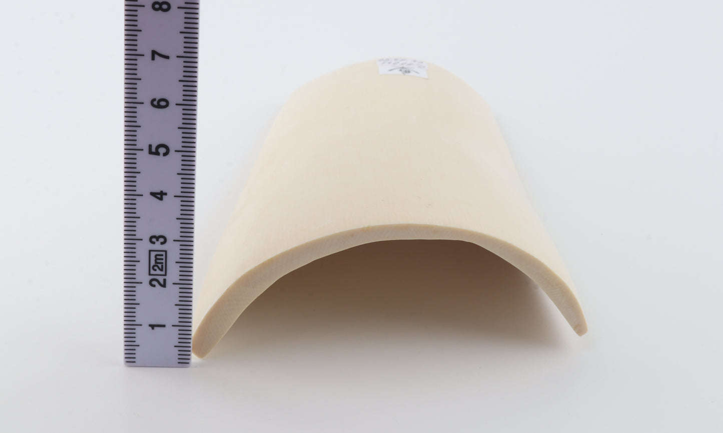 White mammoth ivory piece
