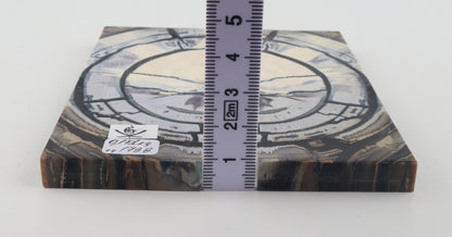Stabilized mammoth ivory scales