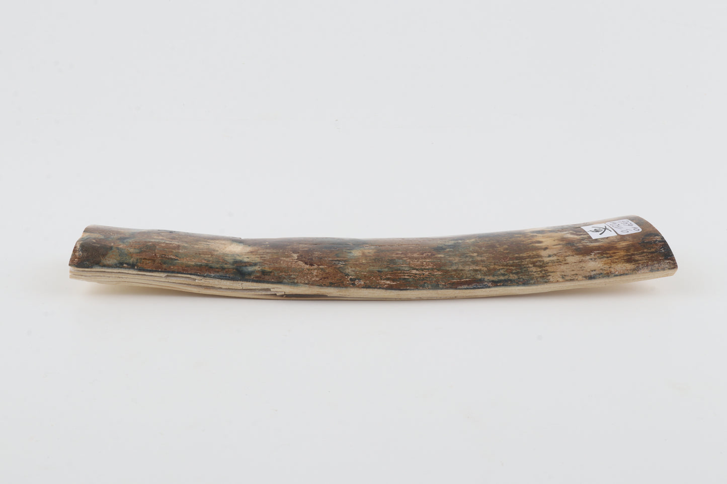 Natural mammoth bark