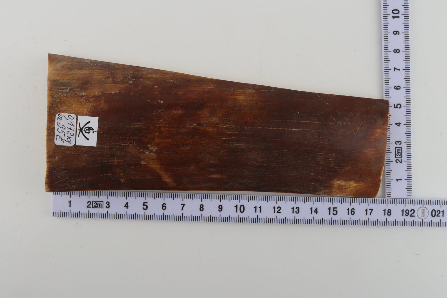 Brown-orange mammoth bark