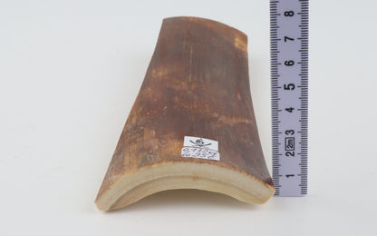 Brown-orange mammoth bark