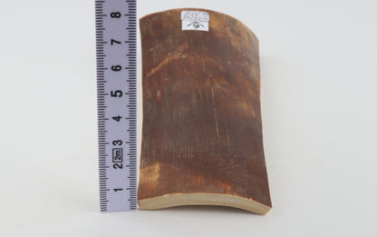 Brown-orange mammoth bark