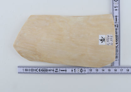 White mammoth ivory piece