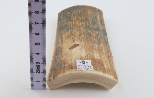 Natural mammoth bark