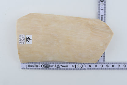 White mammoth ivory piece