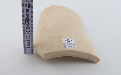 White mammoth ivory piece