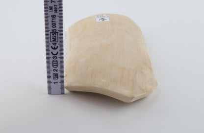 White mammoth ivory piece
