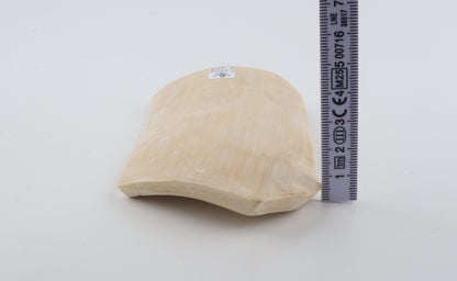 White mammoth ivory piece