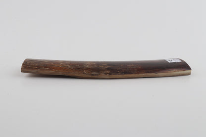 Brown mammoth bark