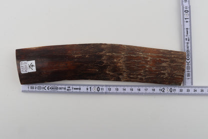 Brown mammoth bark