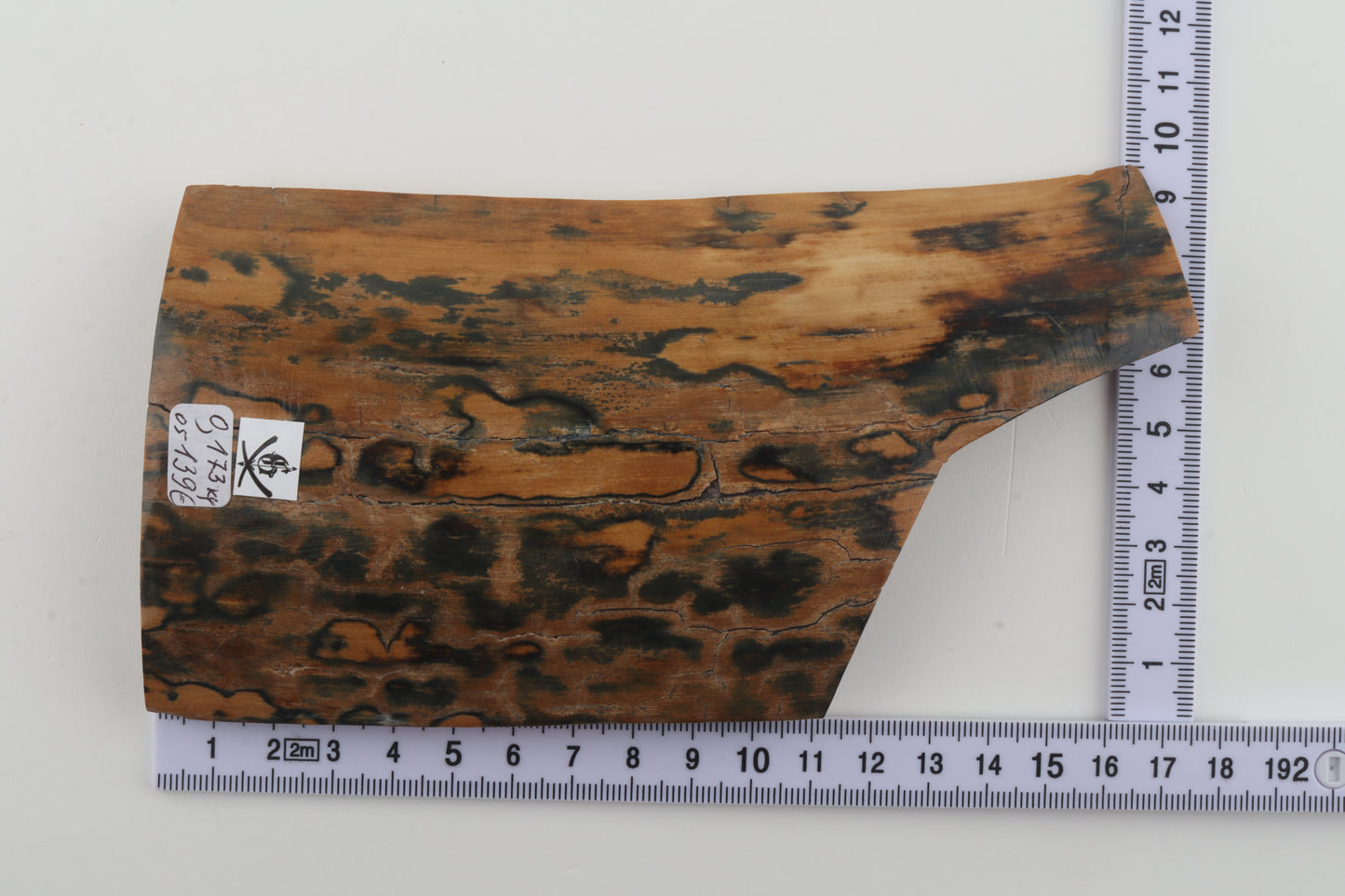 Green-mustard mammoth bark