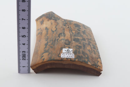 Green-mustard mammoth bark