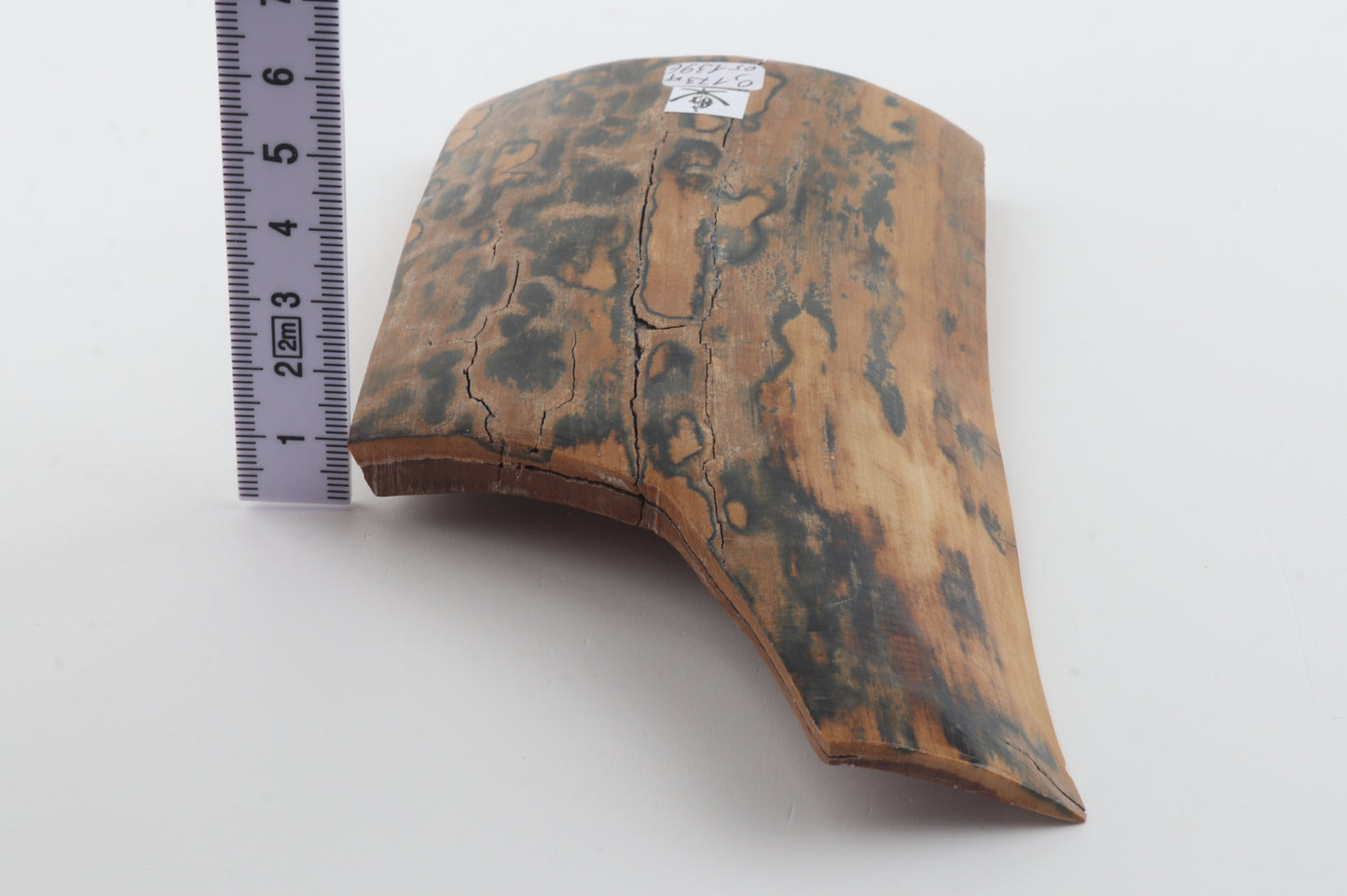 Green-mustard mammoth bark