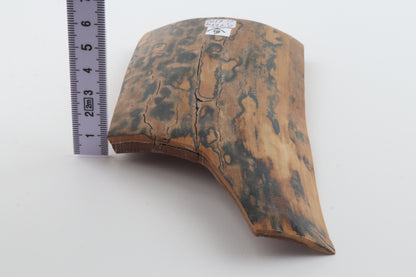 Green-mustard mammoth bark