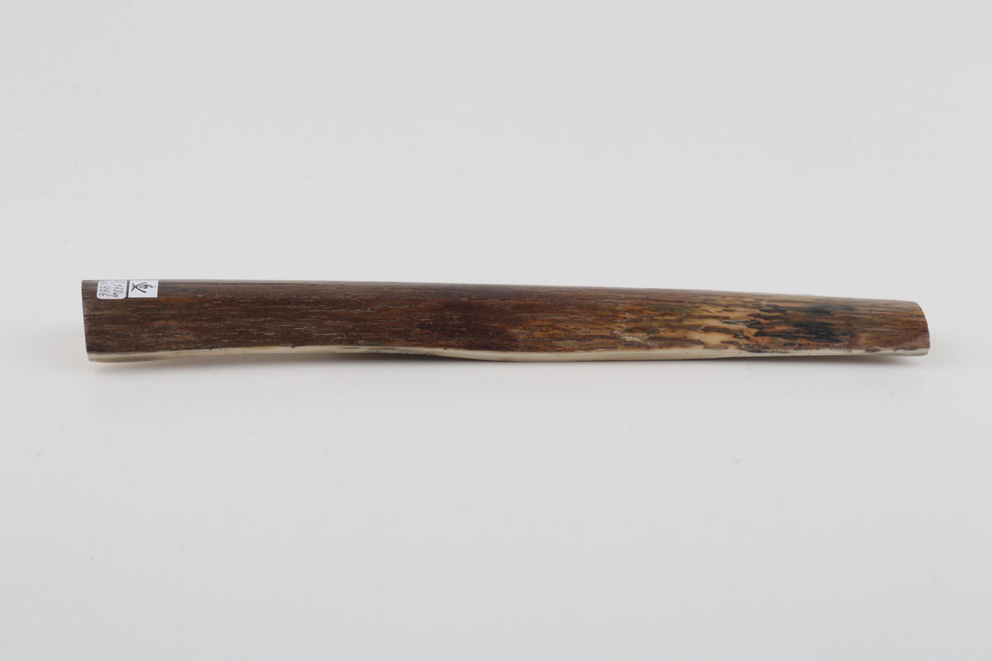 Brown mammoth bark
