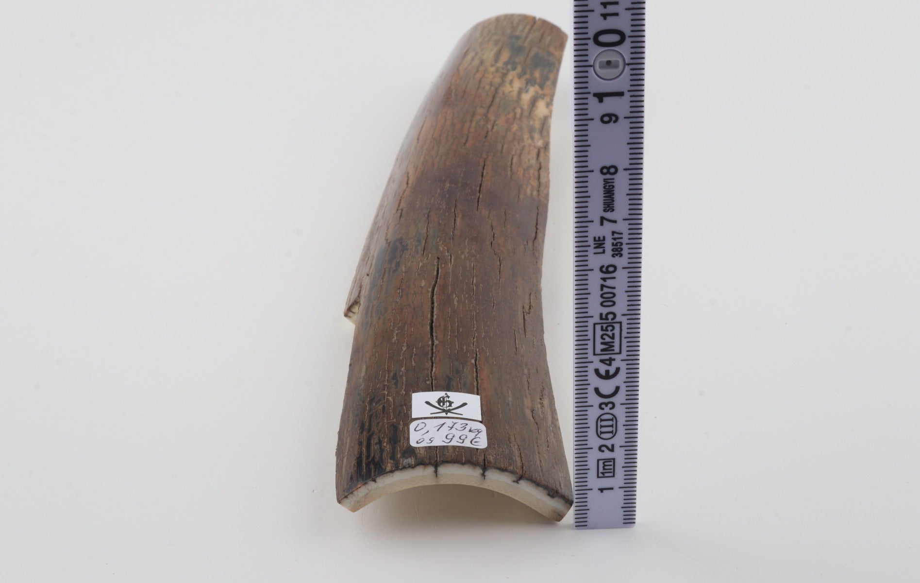 Brown mammoth bark