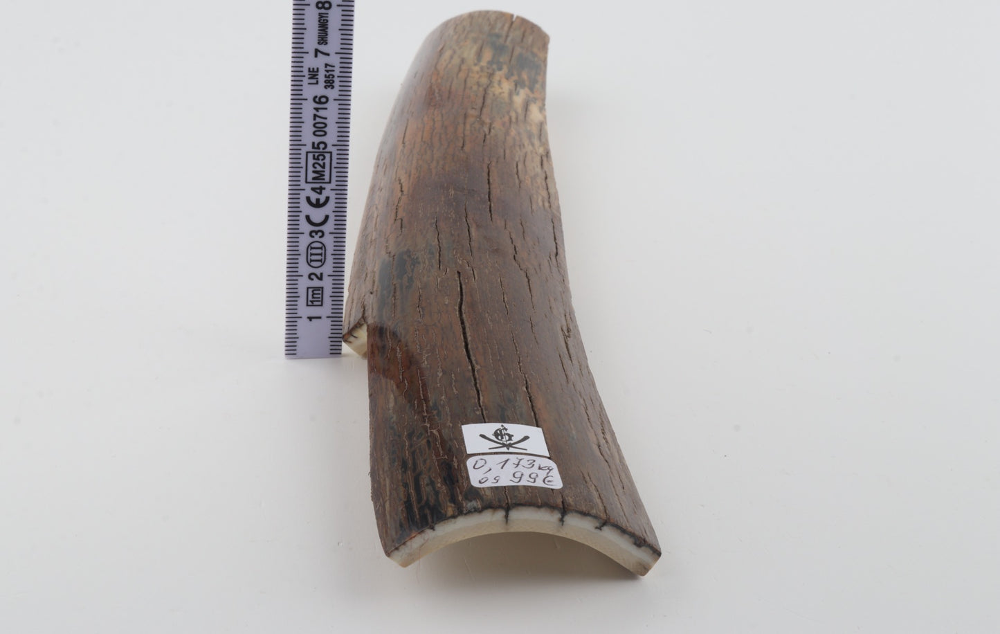 Brown mammoth bark