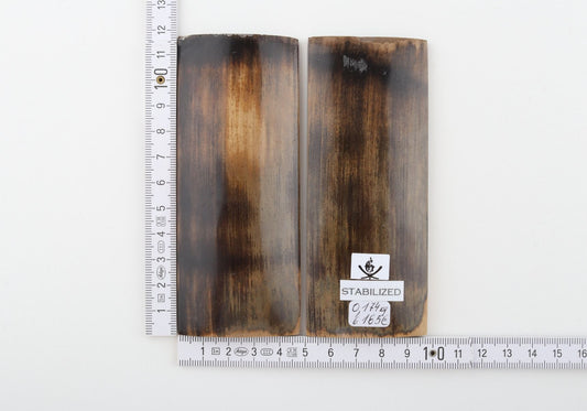 Stabilized mammoth molar scales