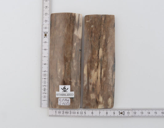 Stabilised mammoth bark scales