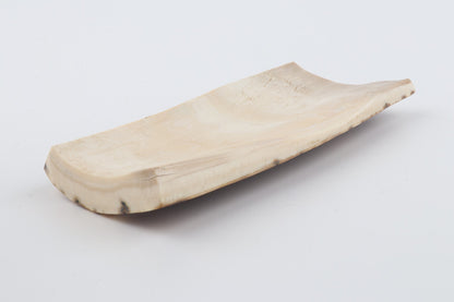 Mustard mammoth bark