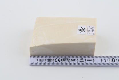White mammoth ivory segment