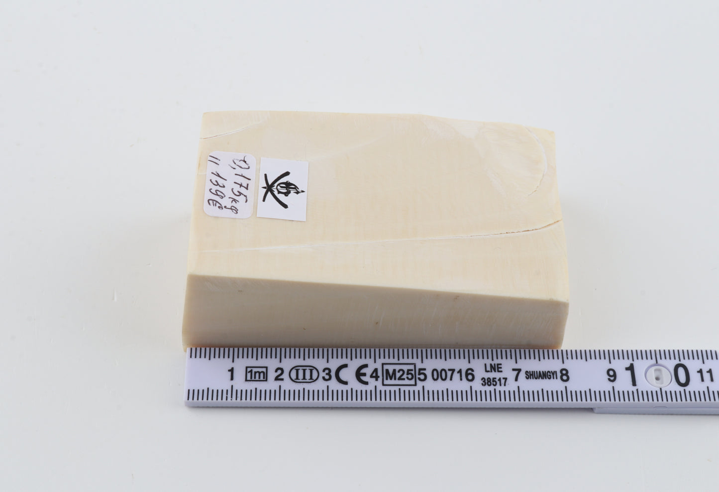 White mammoth ivory segment