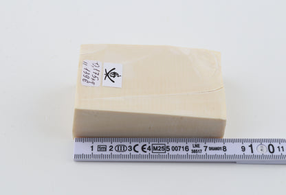 White mammoth ivory segment