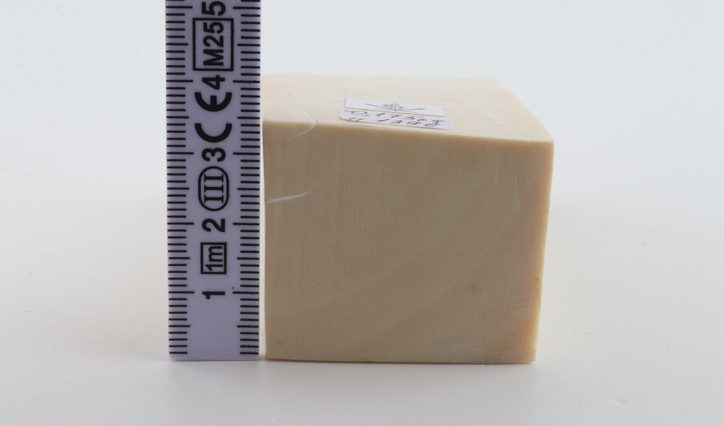 White mammoth ivory segment