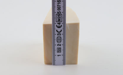 White mammoth ivory segment