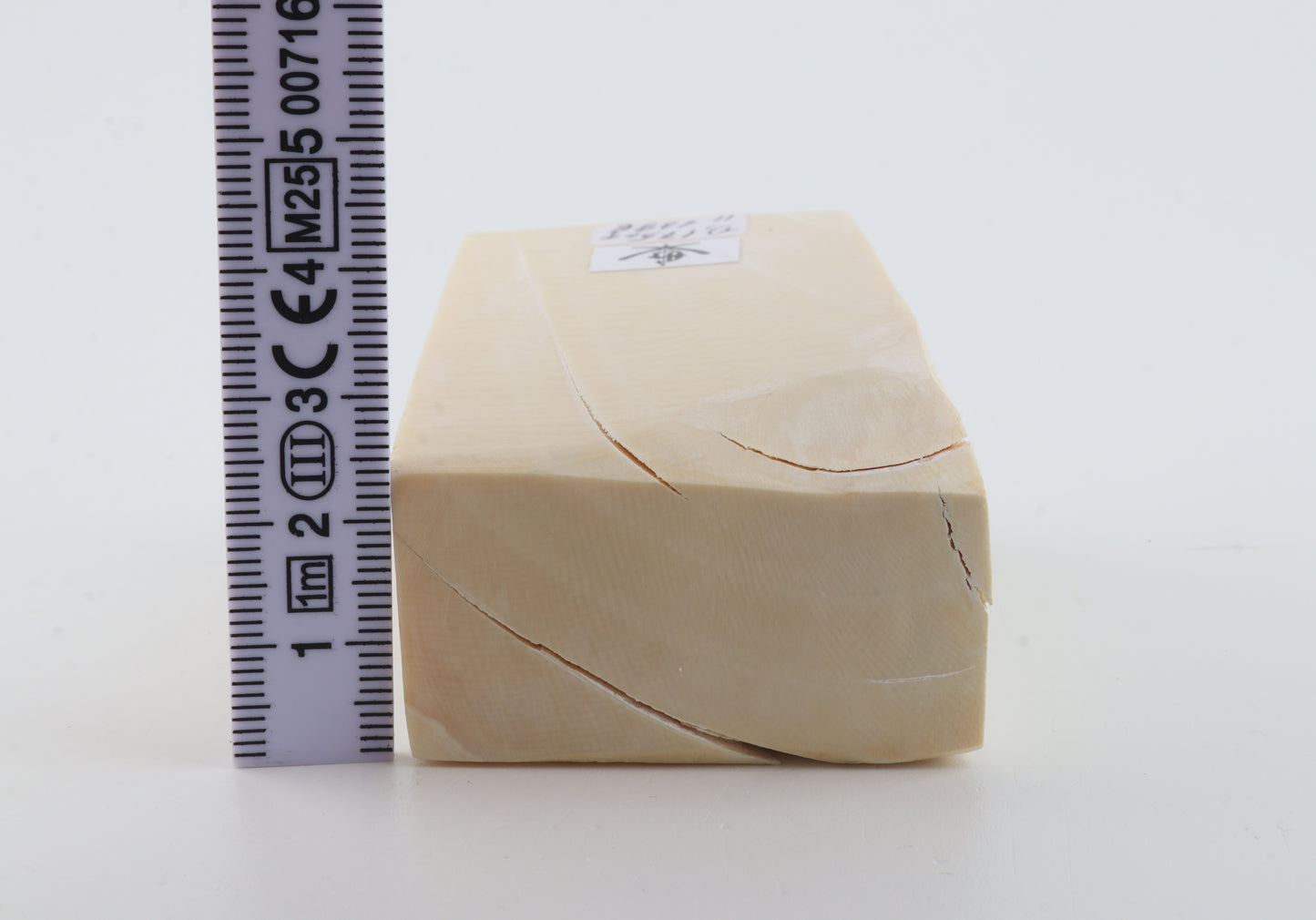 White mammoth ivory segment