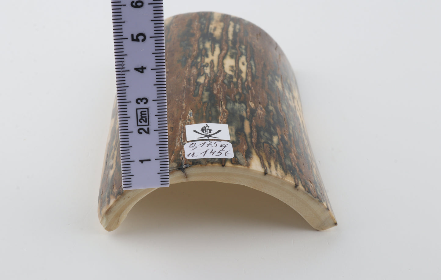 Brown-blue mammoth bark