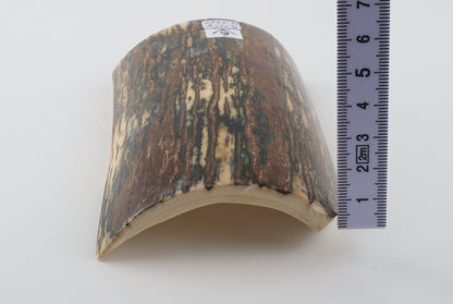 Brown-blue mammoth bark