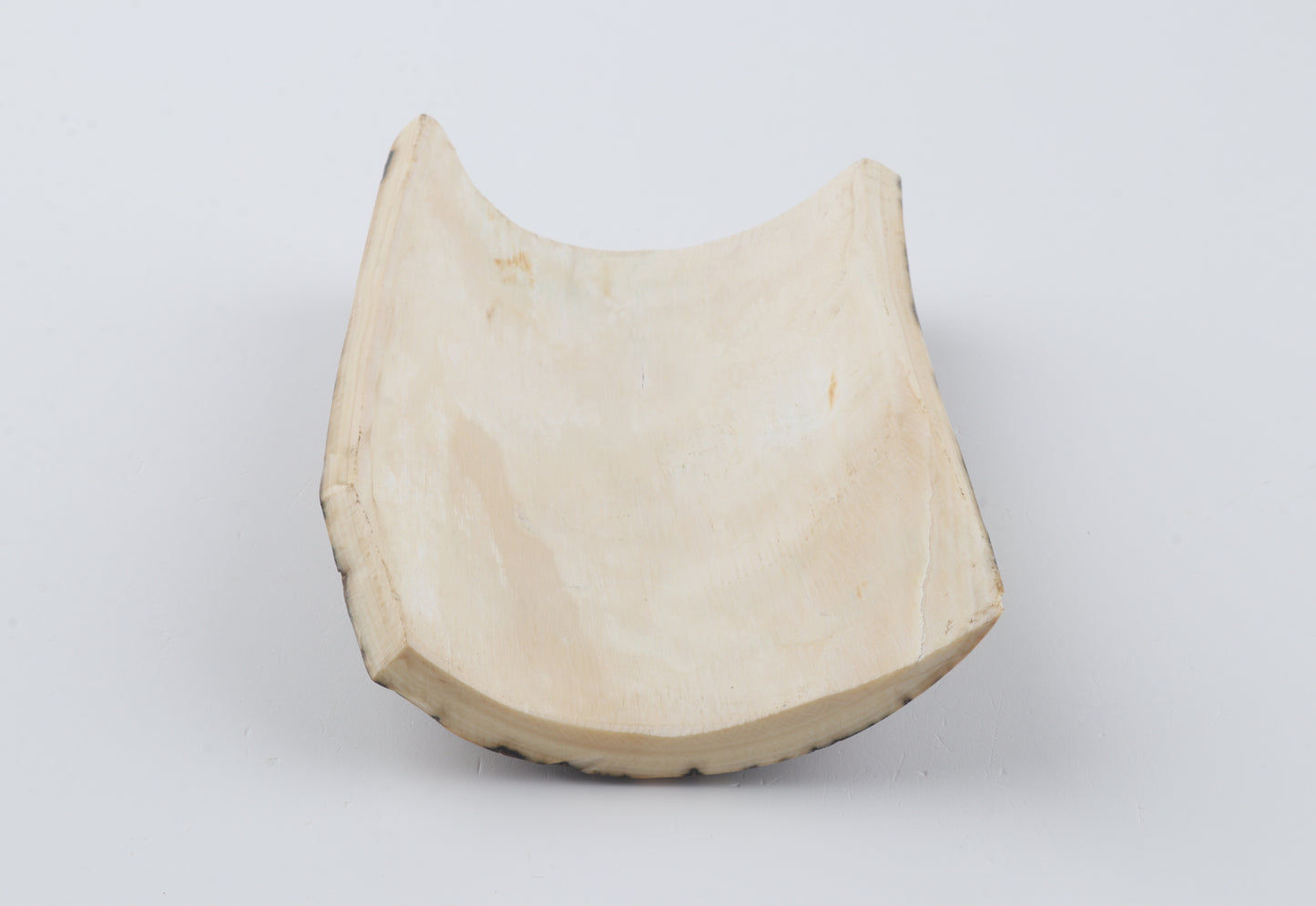 Brown-blue mammoth bark