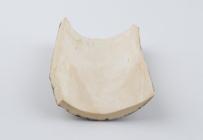 Brown-blue mammoth bark