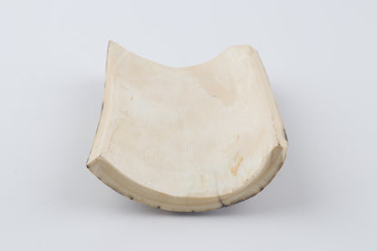 Brown-blue mammoth bark