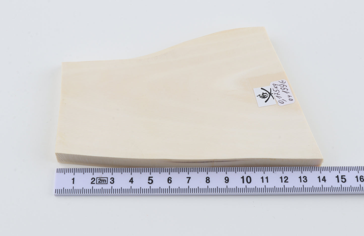 White mammoth ivory segment