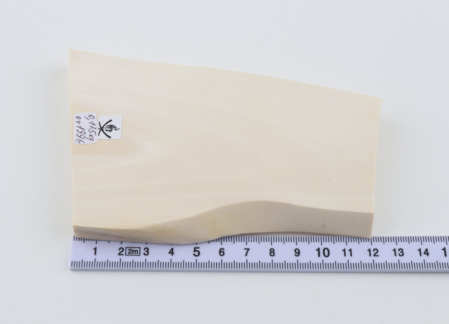 White mammoth ivory segment