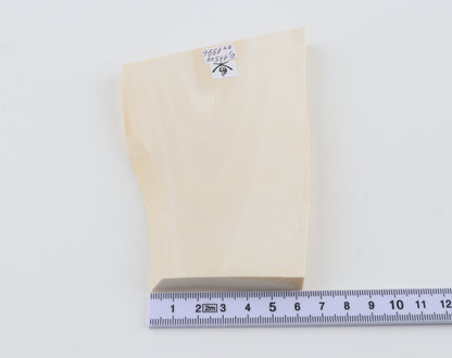 White mammoth ivory segment