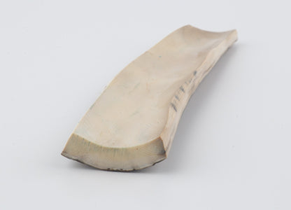 Beige mammoth bark