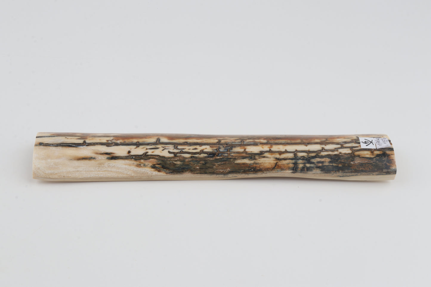 Natural woolly mammoth bark