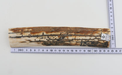 Natural woolly mammoth bark