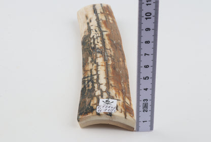 Natural woolly mammoth bark