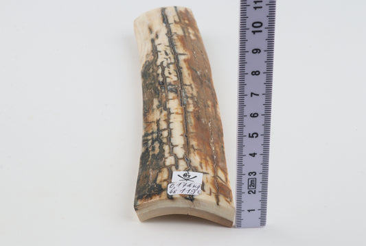 Natural woolly mammoth bark