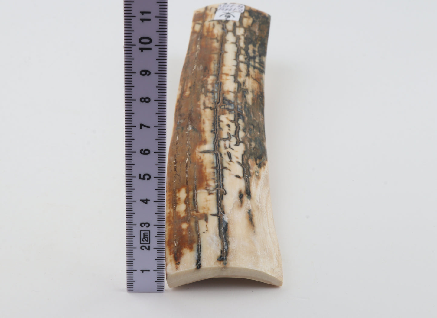 Natural woolly mammoth bark