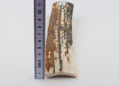 Natural woolly mammoth bark