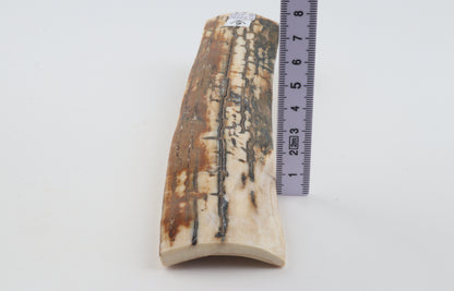 Natural woolly mammoth bark