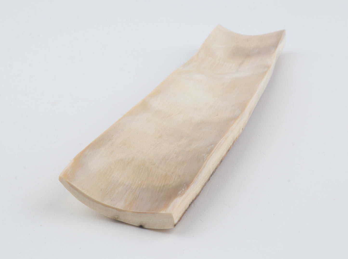 Natural woolly mammoth bark