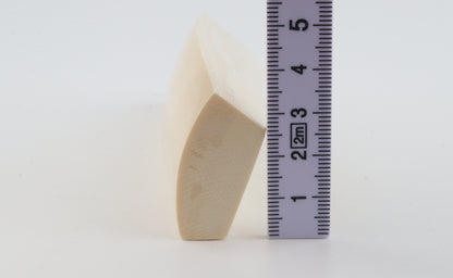 White mammoth ivory segment