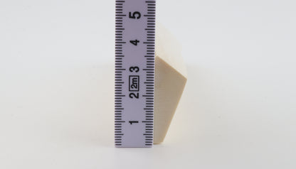 White mammoth ivory segment