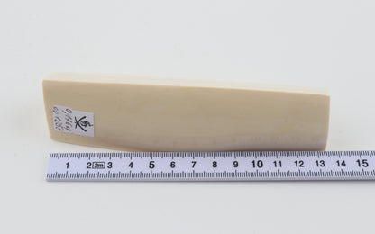 White mammoth ivory segment